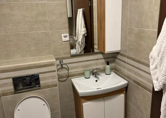 Stanojevic Lux Daire *